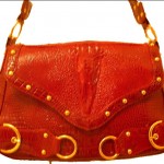 sac rouge detail